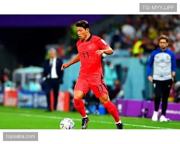 韩国队2026世界杯D组能否晋级16强 韩国队2026世界杯D组能否晋级16强