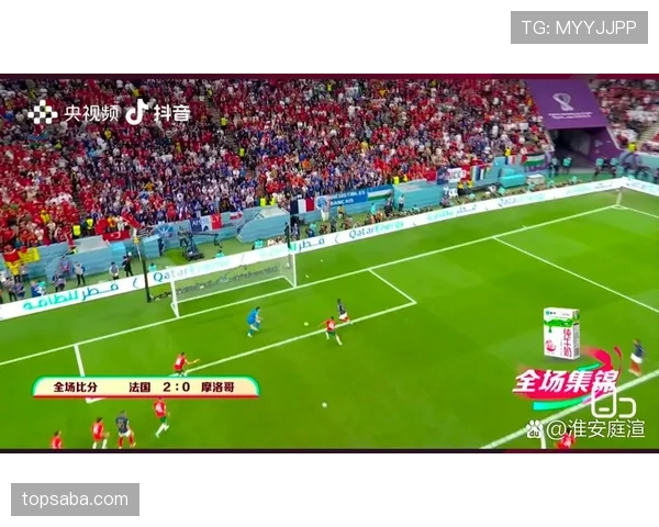 世界杯F组黑马路线全解析