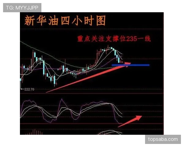 沙特与西班牙实力差距分析